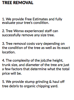 TREE REMOVAL 1. We provide Free Estimates and fully evaluate your tree’s condition. 2. Tree Worxx experienced staff can successfully remove any size tree. 3. Tree removal costs vary depending on the condition of the tree as well as its exact location. 4. The complexity of the job,the height, trunk size, and diameter of the tree are just a few factors that determine what the total price will be. 5. We provide stump grinding & haul off tree debris to organic chipping yard.