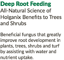 Deep Root Feeding All-Natural Science of Holganix Benefits to Trees and Shrubs Beneficial fungus that greatly improve root development in plants, trees, shrubs and turf by assisting with water and nutrient uptake.