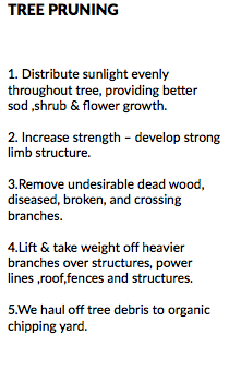 TREE PRUNING 1. Distribute sunlight evenly throughout tree, providing better sod ,shrub & flower growth. 2. Increase strength – develop strong limb structure. 3.Remove undesirable dead wood, diseased, broken, and crossing branches. 4.Lift & take weight off heavier branches over structures, power lines ,roof,fences and structures. 5.We haul off tree debris to organic chipping yard.