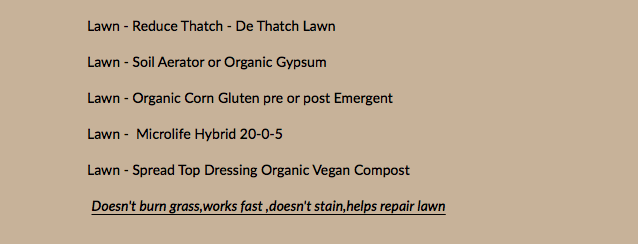 Lawn - Reduce Thatch - De Thatch Lawn Lawn - Soil Aerator or Organic Gypsum Lawn - Organic Corn Gluten pre or post Emergent Lawn - Microlife Hybrid 20-0-5 Lawn - Spread Top Dressing Organic Vegan Compost Doesn't burn grass,works fast ,doesn't stain,helps repair lawn