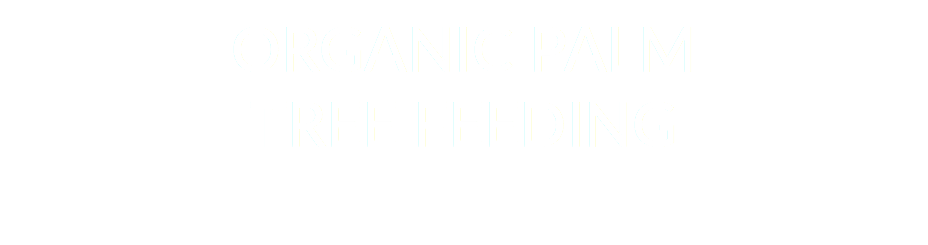 ORGANIC PALM TREE FEEDING